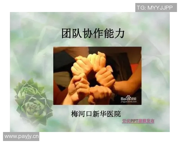 上海乒乓球队的团队协作之道：凝聚力与默契的完美结合