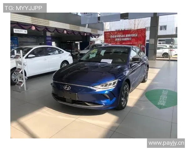 排球装备选购指南：如何选择适合你的排球鞋推荐与技巧