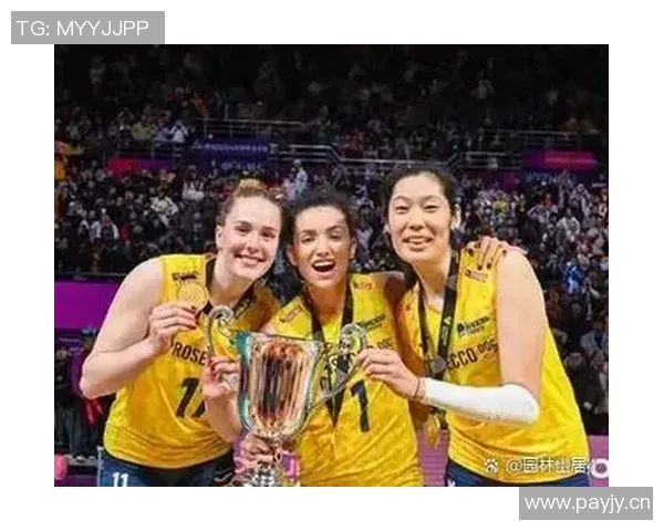 排球团队协作实力榜单揭晓西安排球队荣获第三名殊荣